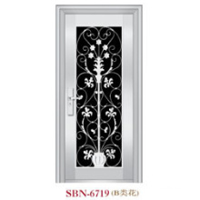 Stainless Steel Door for Outside Sunshine (SBN-6719)